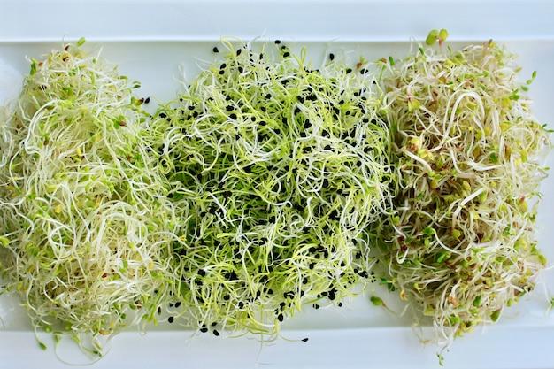 Are alfalfa sprouts high in histamine? 