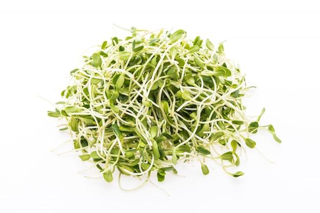 Are alfalfa sprouts high in histamine? 