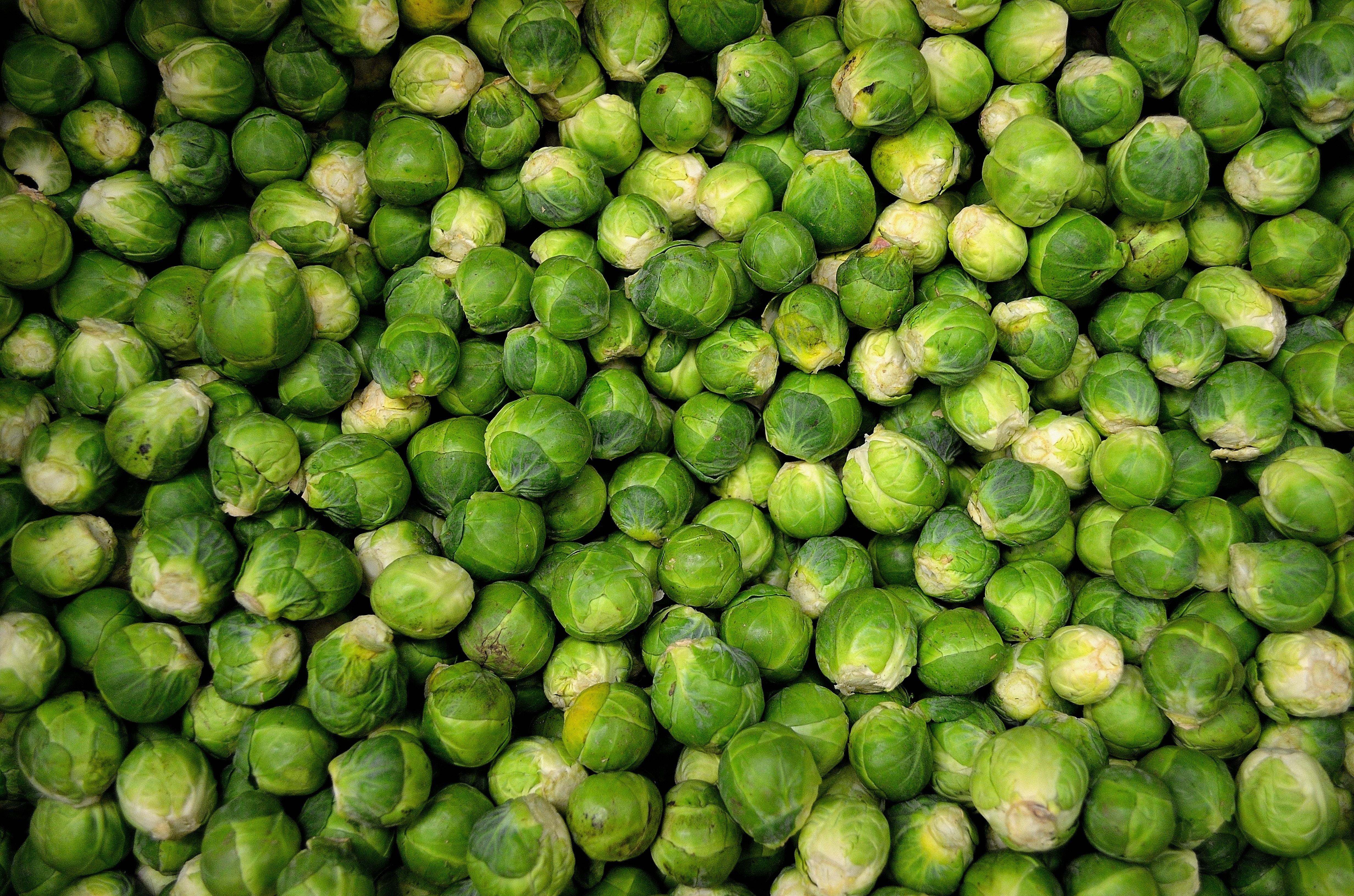 Is brussel sprouts man made 