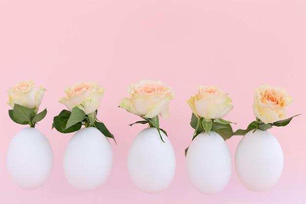 Are eggshells good for roses? 