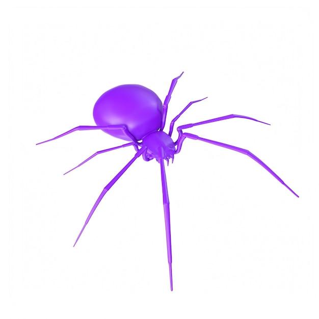 Are purple spiders real 