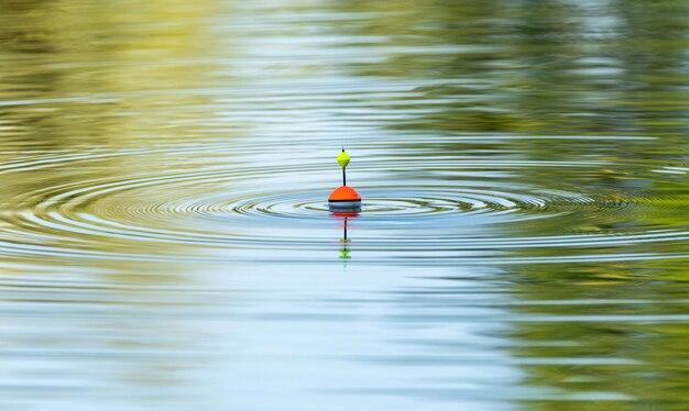 Will a penny float in water 