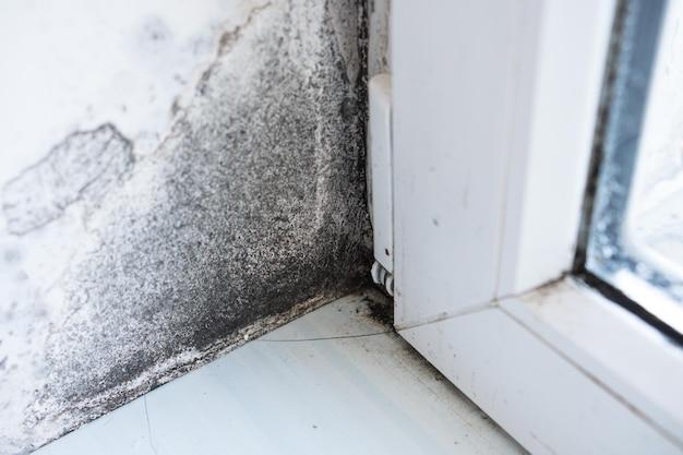 Can black mold condemned house? 