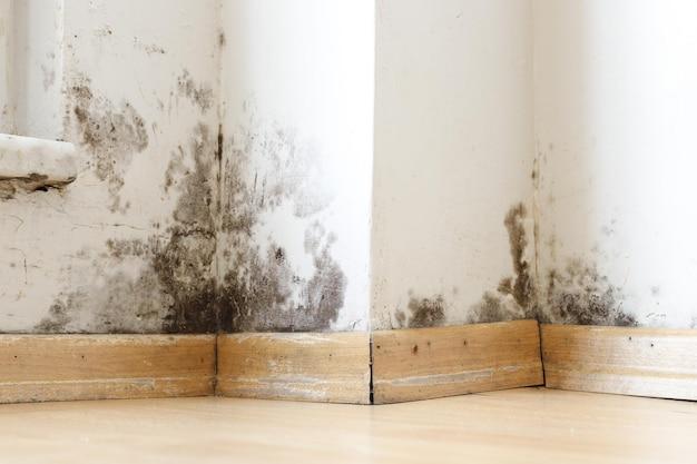 Can black mold condemned house? 