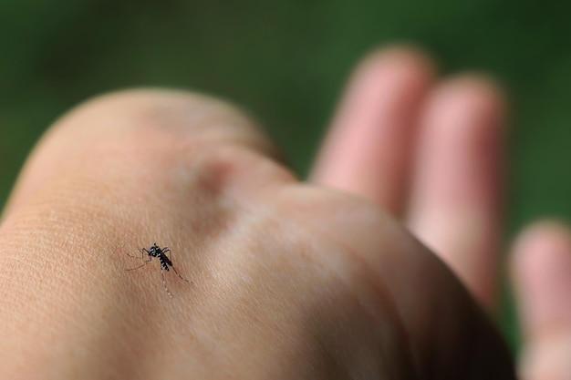 Does hand sanitizer help mosquito bites 
