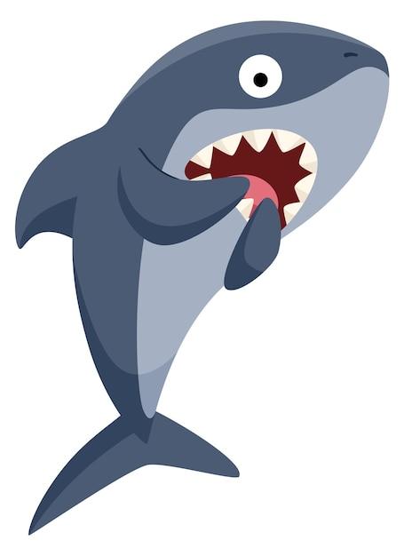 Can sharks sense fear in you 