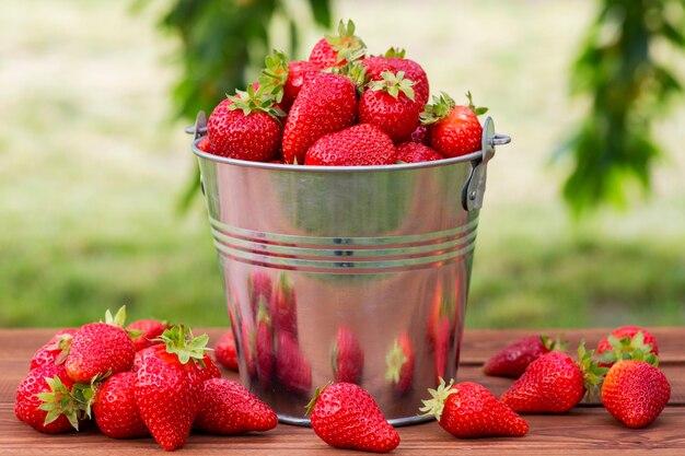 Can strawberries go in compost? 