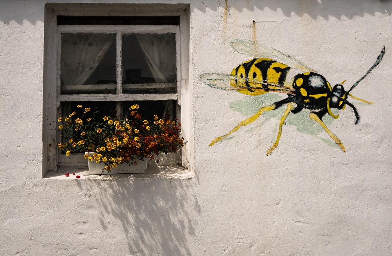 Can wasps get in through closed windows 