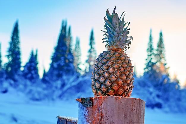 Can you freeze pineapple? 