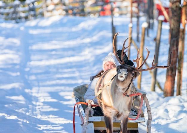 Can you ride a reindeer 