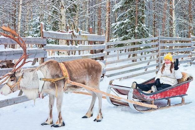 Can you ride a reindeer 