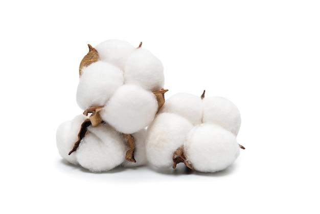 Can you sleep with cotton balls in your ear? 