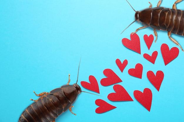 Does roaches have a heart 