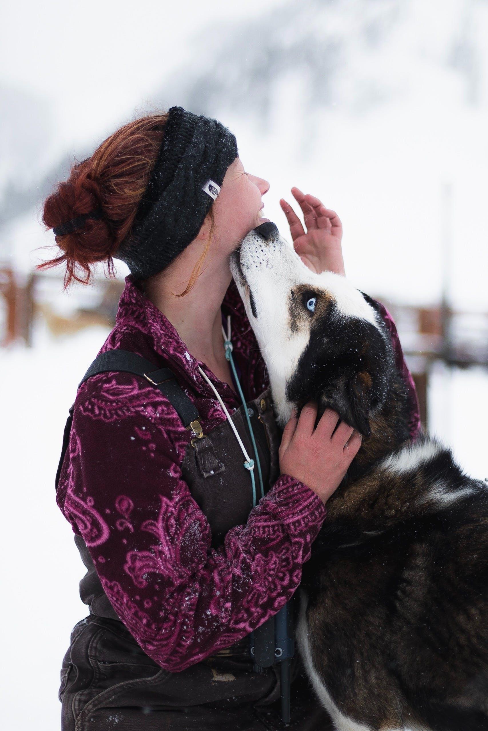 What happens if your dog licks your cold sore 