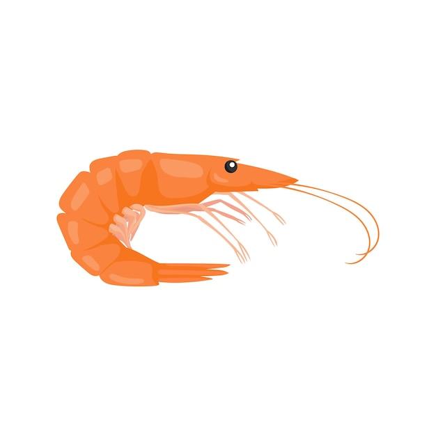 Does live shrimp bite 