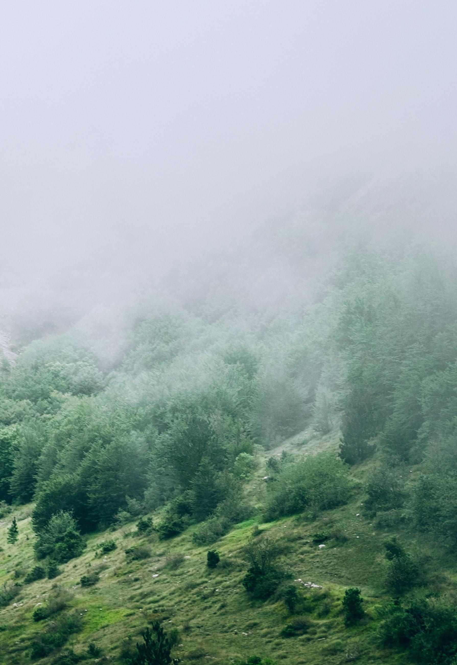 Does low lying fog juice work in a regular fog machine 