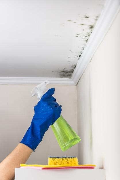 Does mold spray work? 