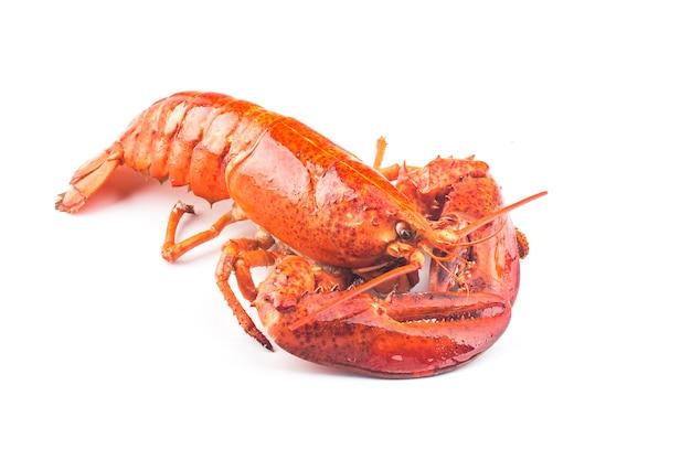 Does Red lobster boil lobsters alive? 