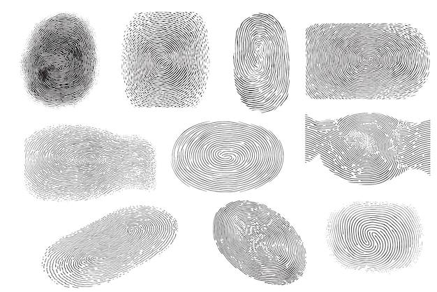How long does background and fingerprints take for USPS 