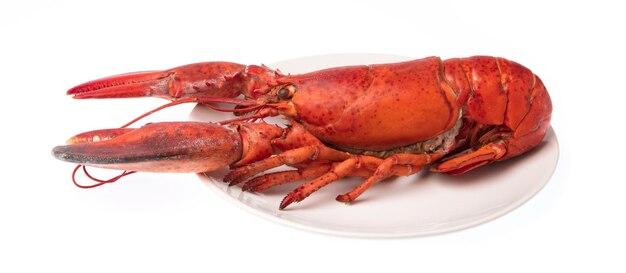 How long does raw lobster last in the fridge? 