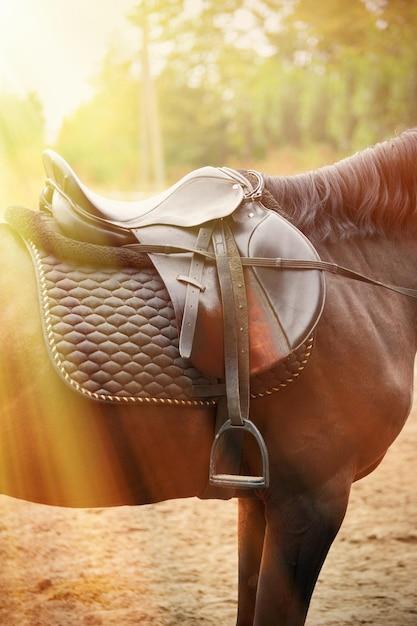 How do you measure a 3 point saddle? 