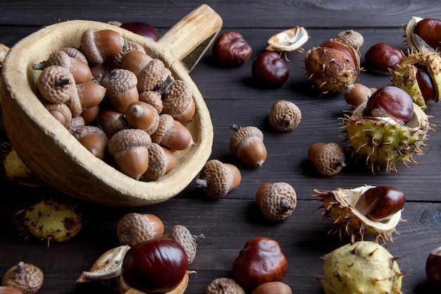 Is a chestnut the same as an acorn 