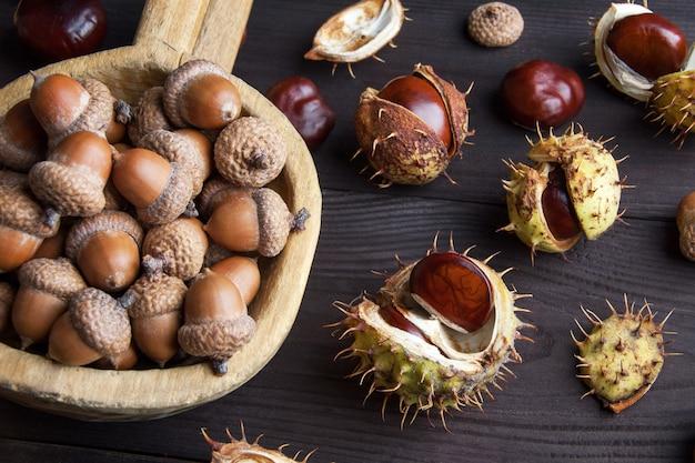 Is a chestnut the same as an acorn 