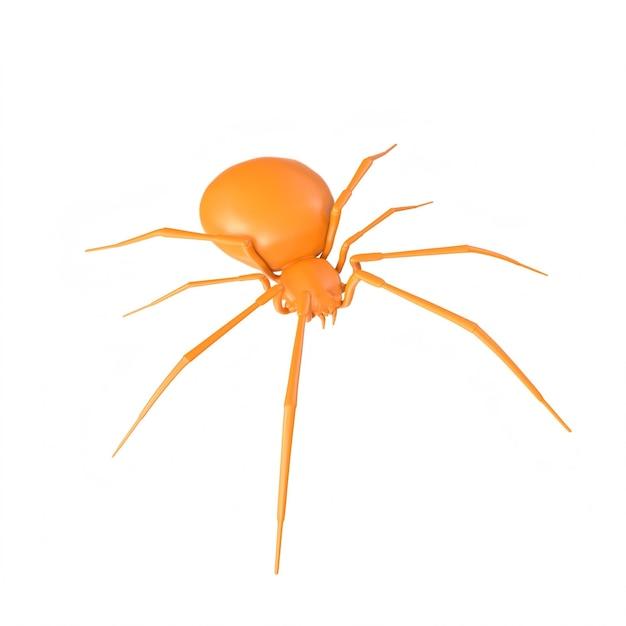 Is an orange spider poisonous? 