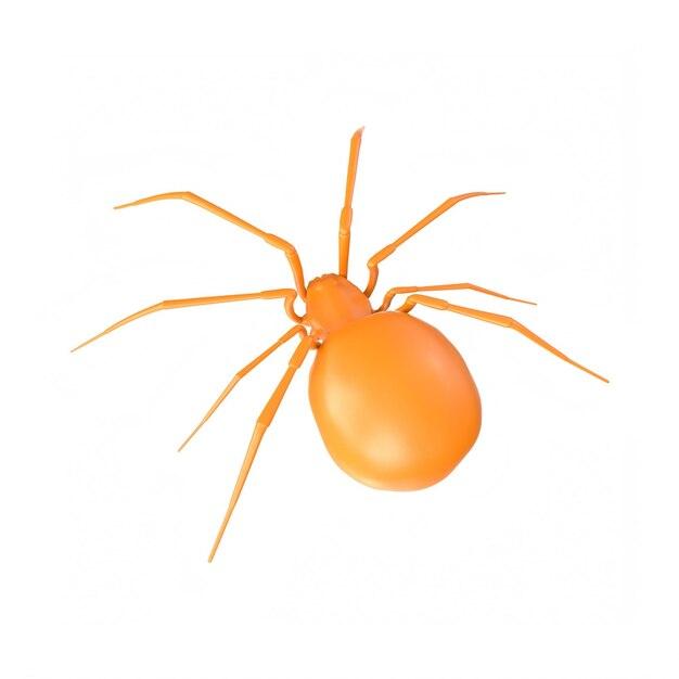 Is an orange spider poisonous? 