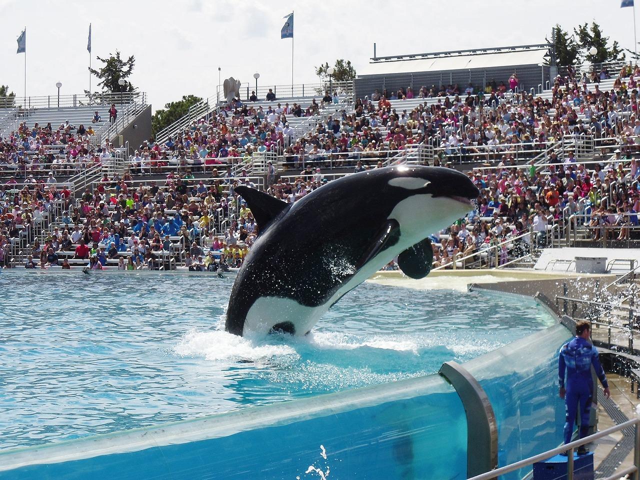 Is SeaWorld Florida closing down 