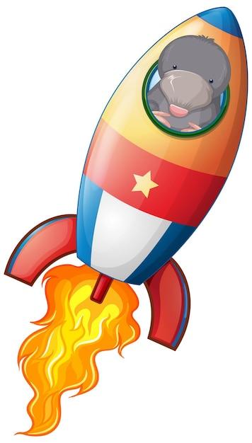 Is it better to have 3 or 4 fins on a rocket? 