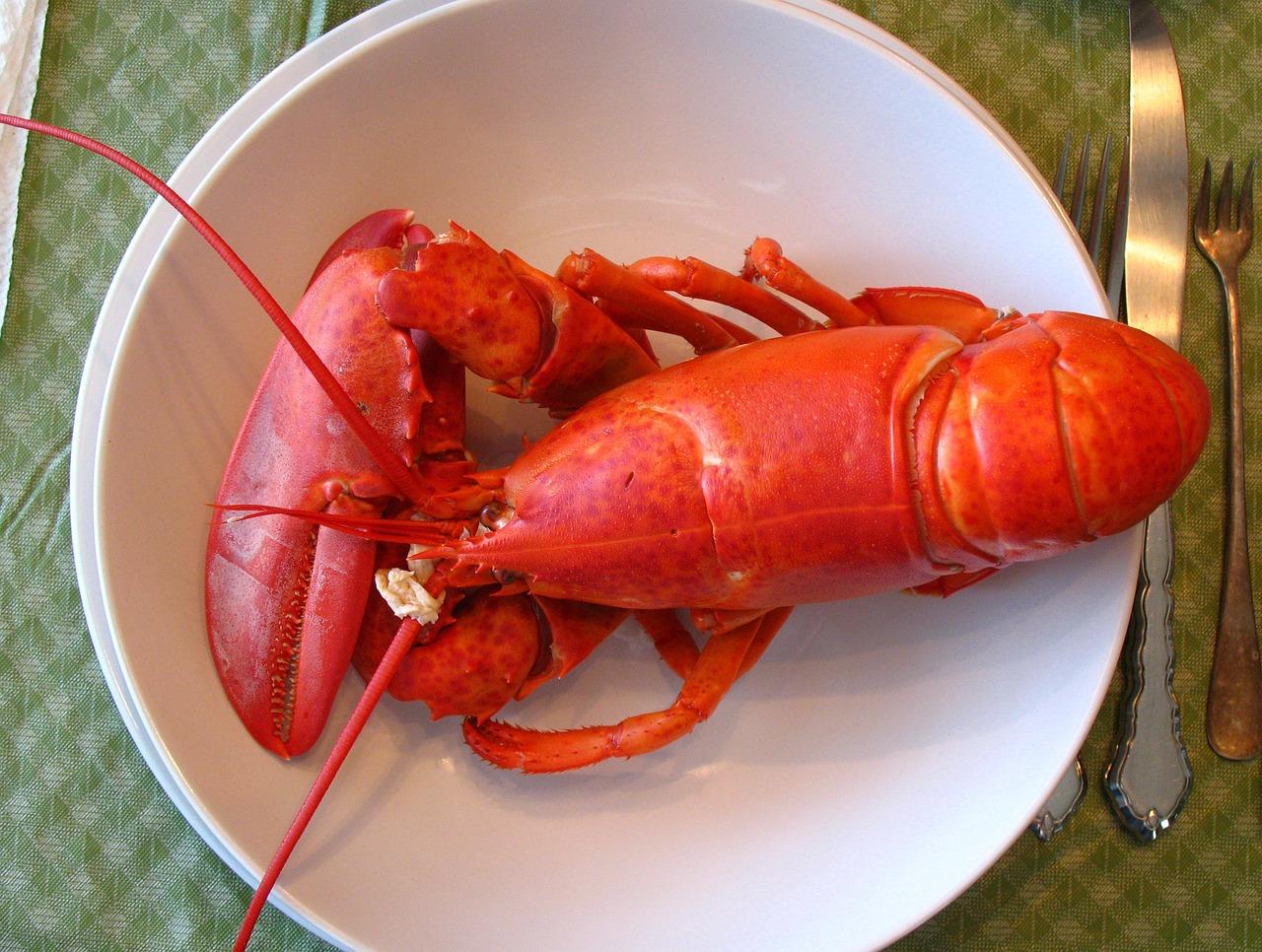 Is lobster cheaper in Maine 