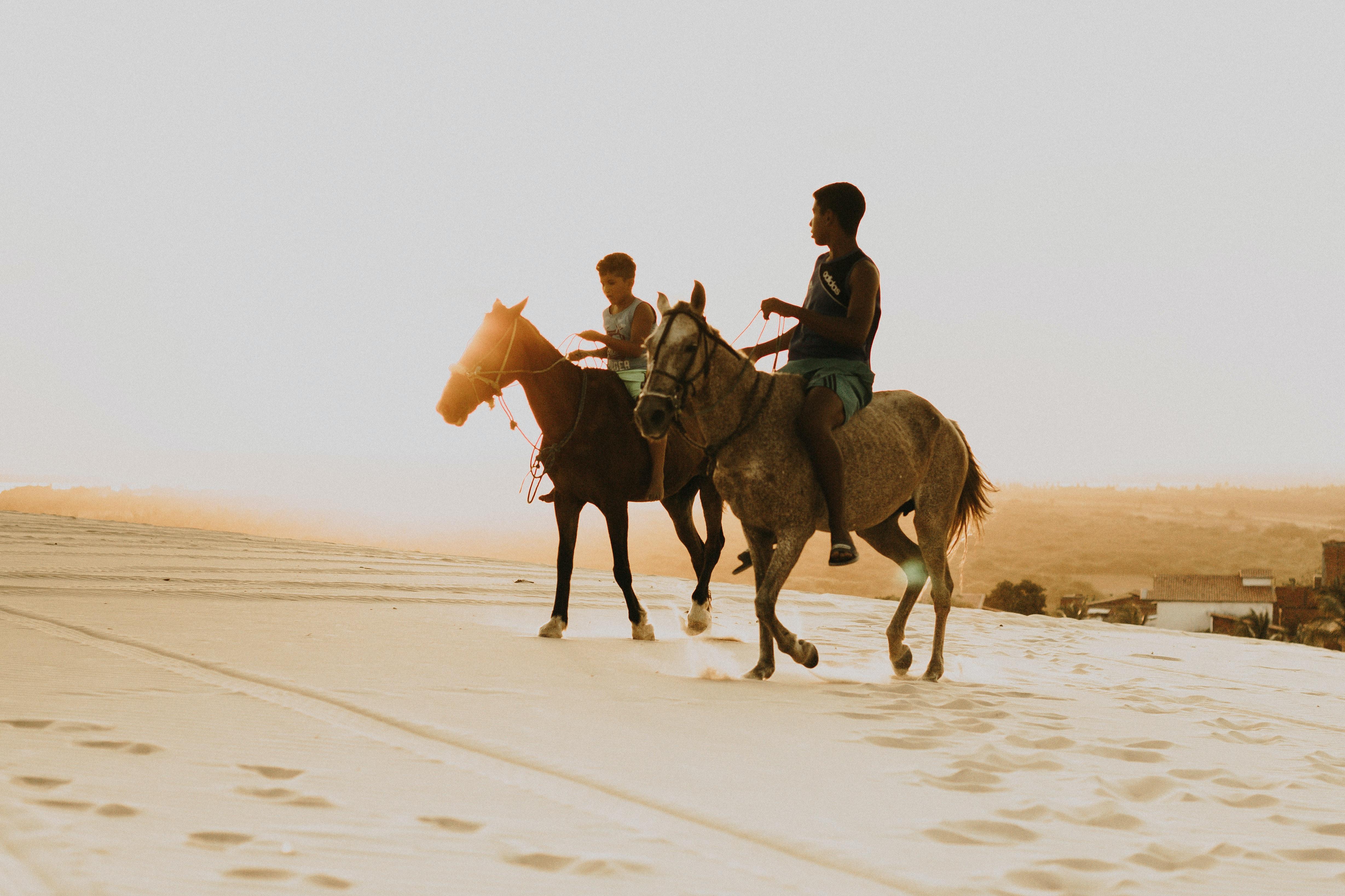 Why shouldn't you drink red wine in the desert? 