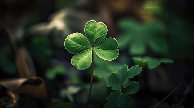 What happens if you find a 6 leaf clover? 