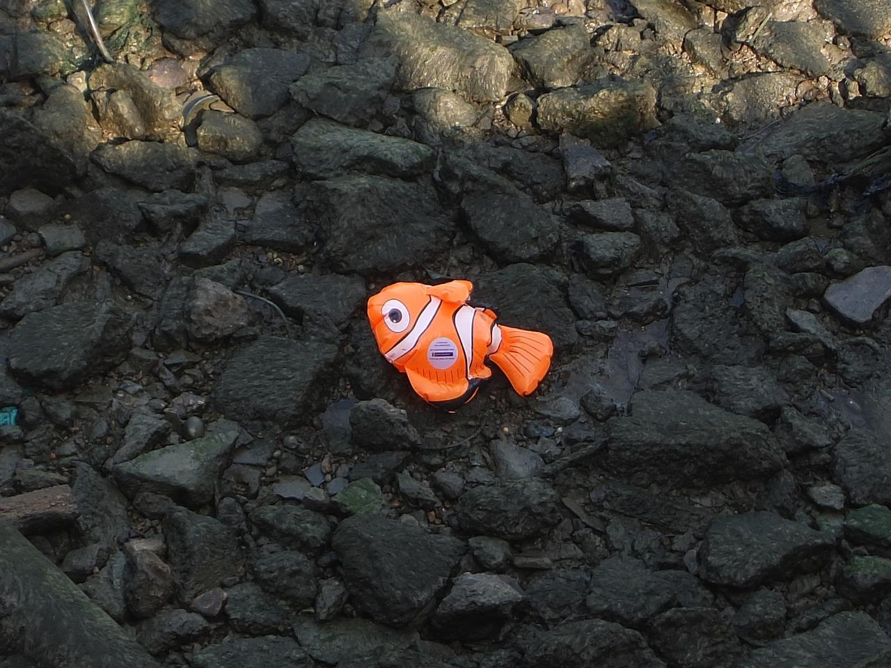 Was Nemo dead 