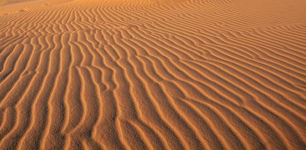 What are water rings in Dune 