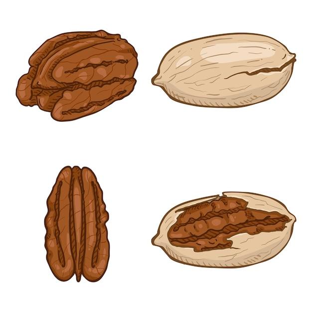 What color is pecan 
