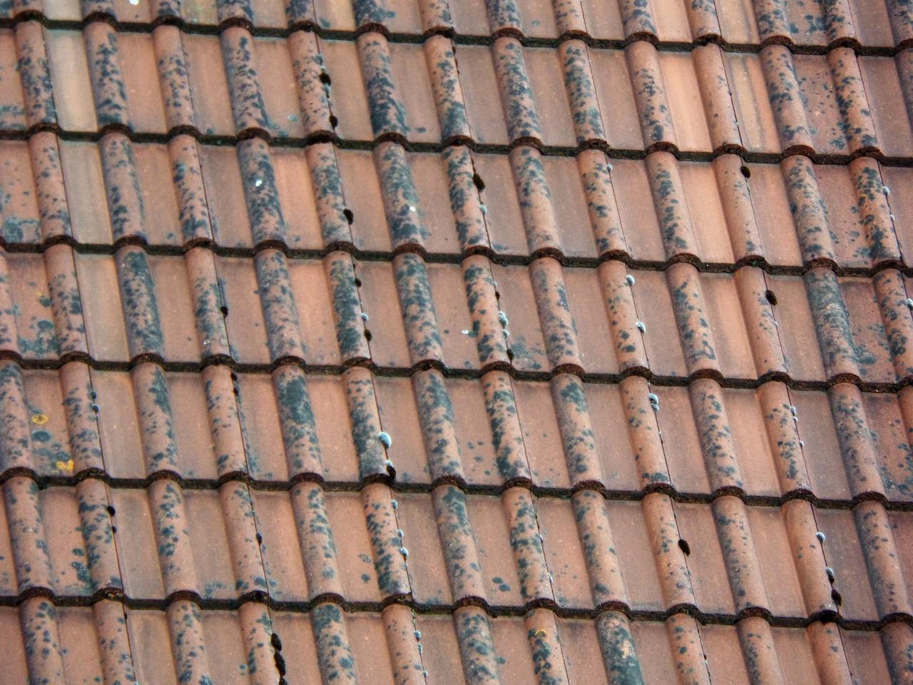 What color shingles last the longest? 