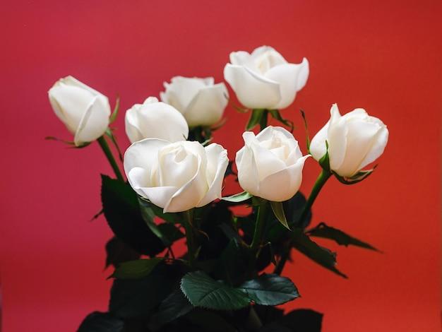 What does 7 white roses mean? 