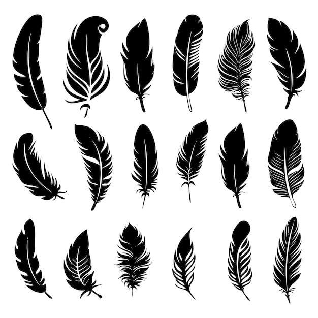What does finding 3 feathers mean? 