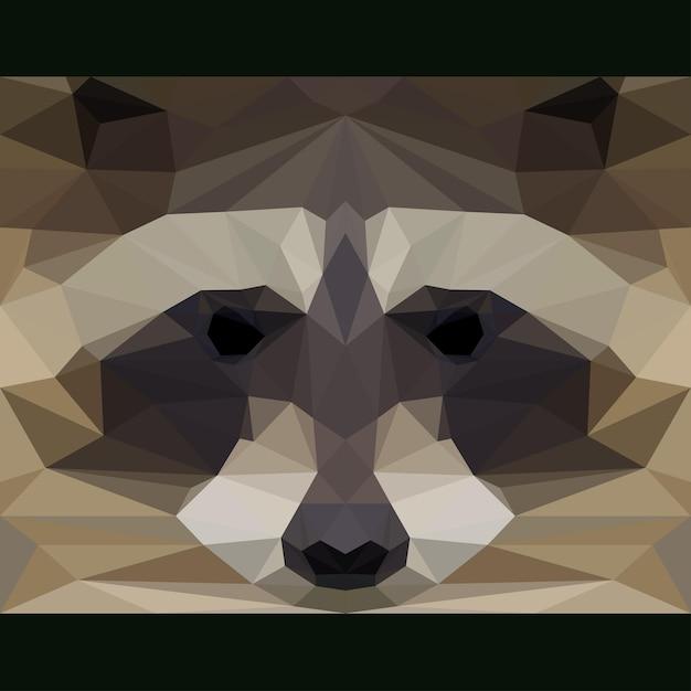 What does it mean when a raccoon stares at you 