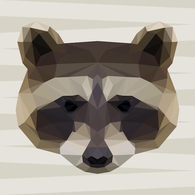 What does it mean when a raccoon stares at you 