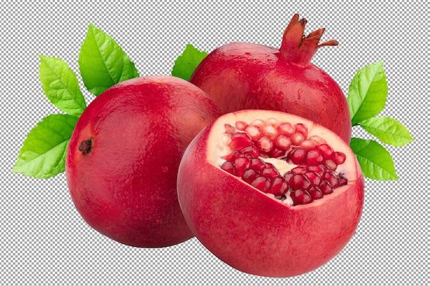 What fruit is pomegranate related to? 