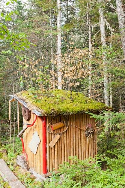 What goes into an outhouse to break down waste? 