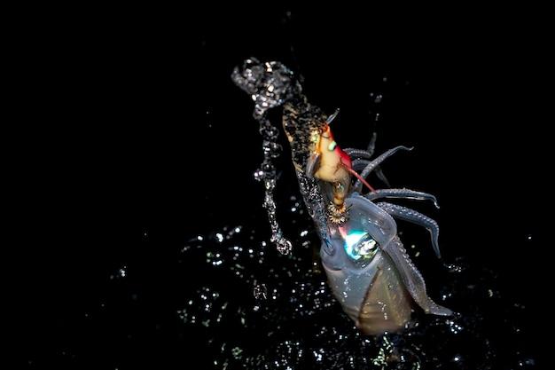 What insects can live underwater 