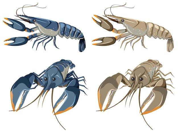 What is a group of lobsters called 