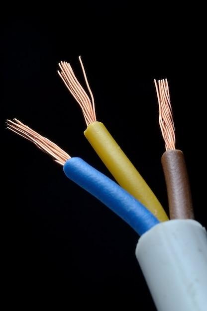 What is the blue and brown wire? 