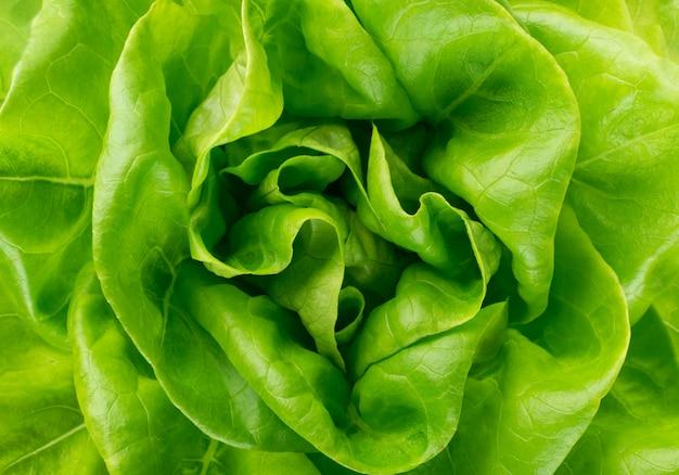 What's another name for Boston lettuce? 