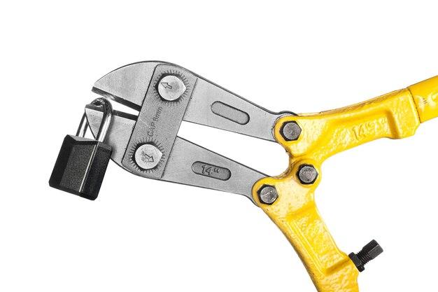 What size bolt cutters will cut a Master Lock 