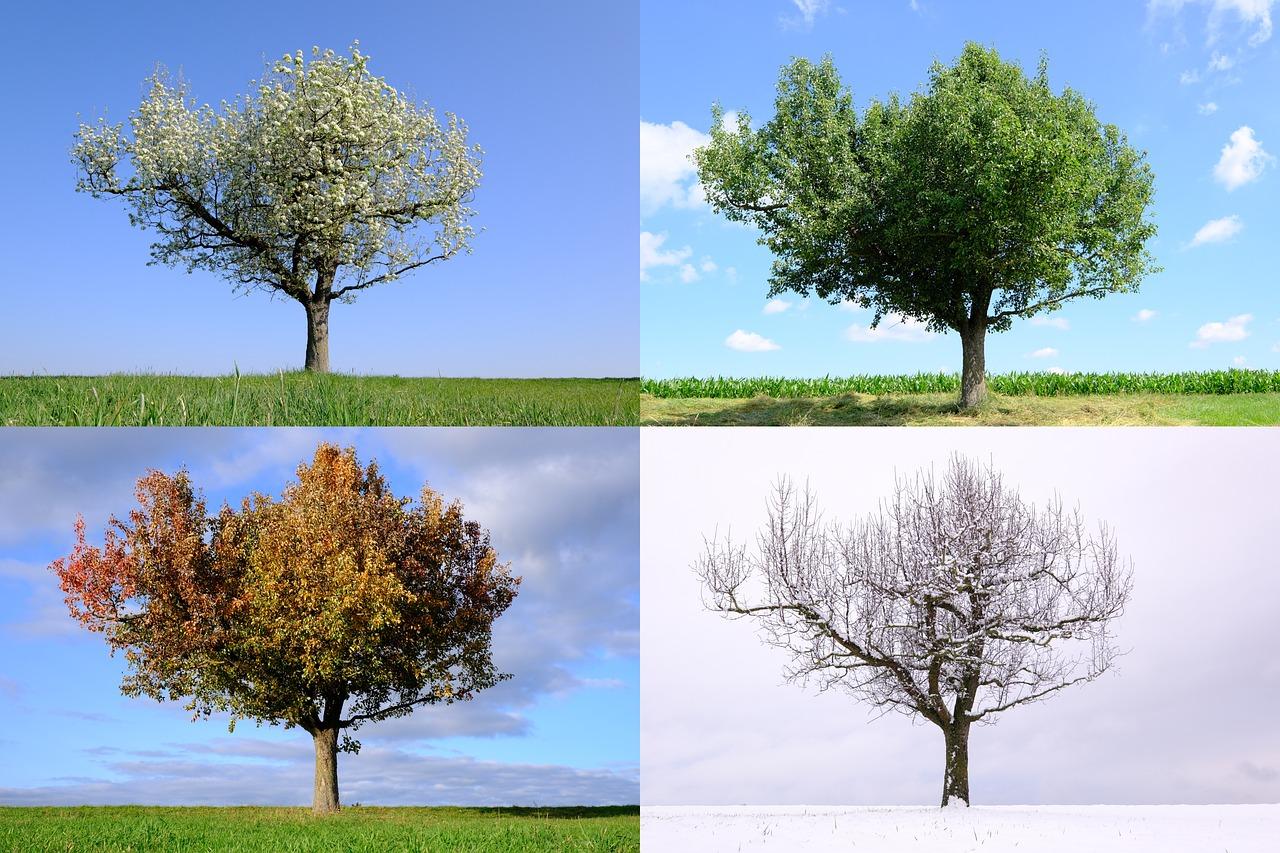 What states have all 4 seasons? 
